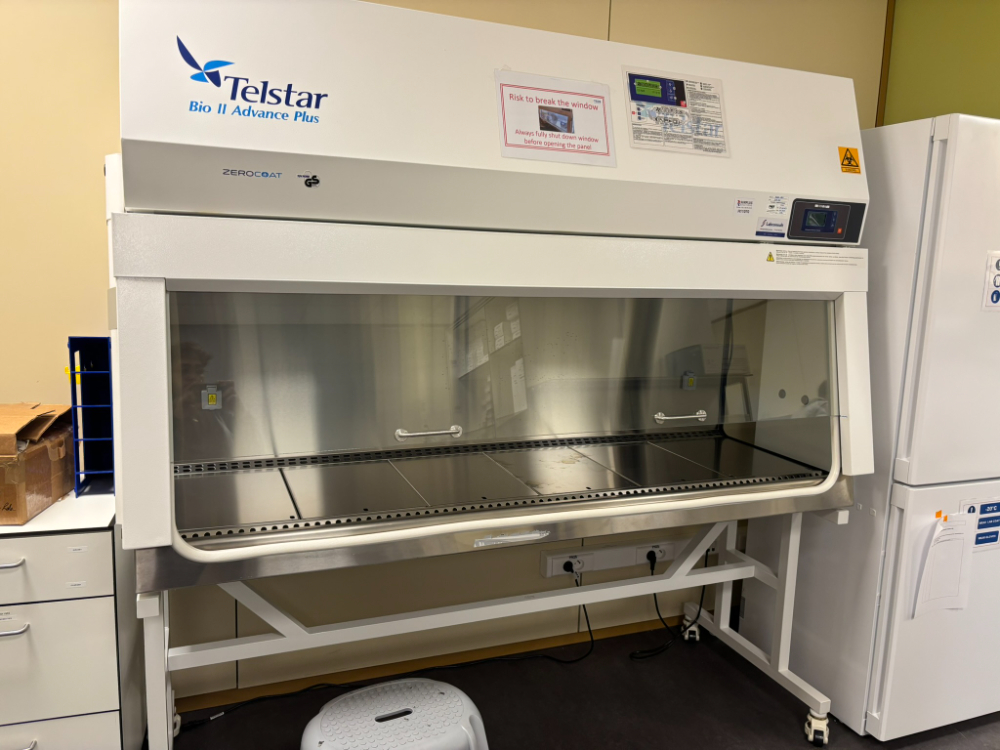 Image of Telstar Bio II Advance Plus - BioSafety Cabinets